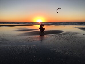 Beach nearby, sun-loungers, beach towels - Last minute discounts!Pet friendly with AC steps to beach-SUV parking (San Diego)