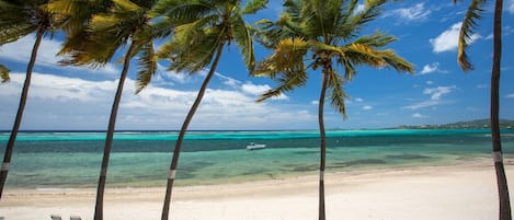 Plage, chaises longues, serviettes de plage