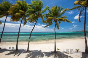 A beach with palm trees and a boat in the water.