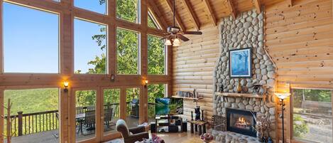 Smart TV, fireplace, DVD player, books