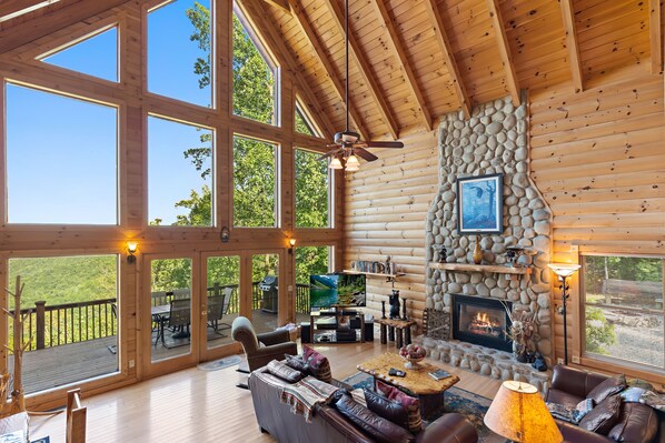 Smart TV, fireplace, DVD player, books