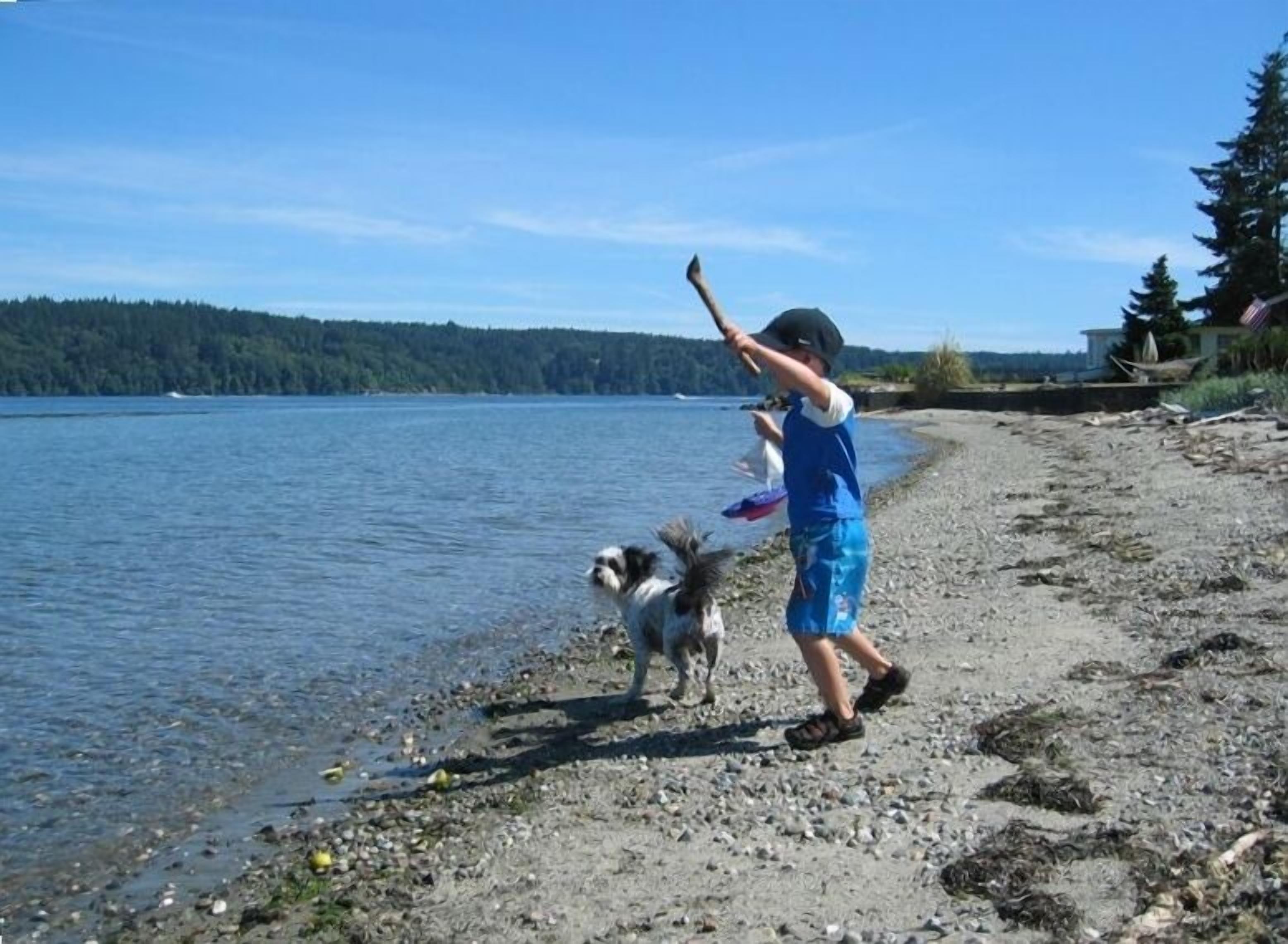 A person playing with a dog on a rocky lakeshore.