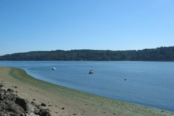 Soak in the cabin's panoramic private ocean front, view to the left.