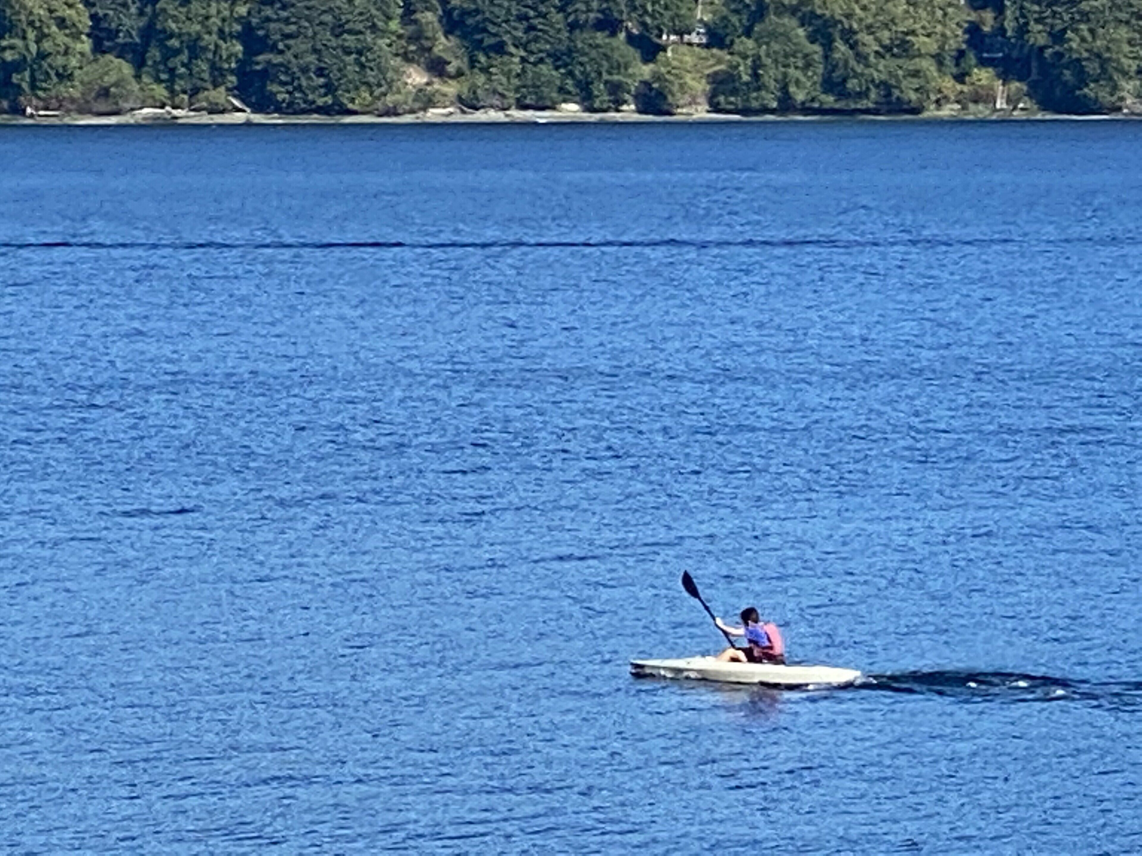 A person kayaking on a calm body of water with a forested shoreline in the background.