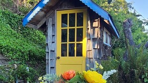 A small wooden cabin with a yellow door and a blue roof, surrounded by lush greenery. - Charming Beach Cabin Nestled in Quartermaster Harbor (Vashon)