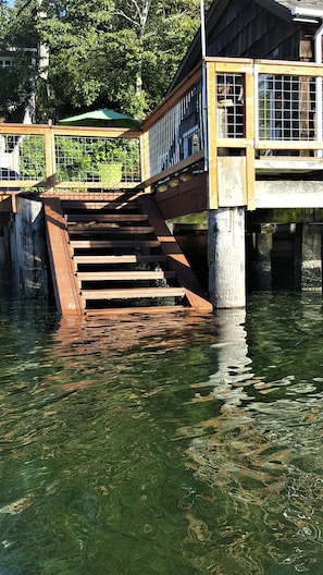 Property grounds - Charming Beach Cabin Nestled in Quartermaster Harbor (Vashon)