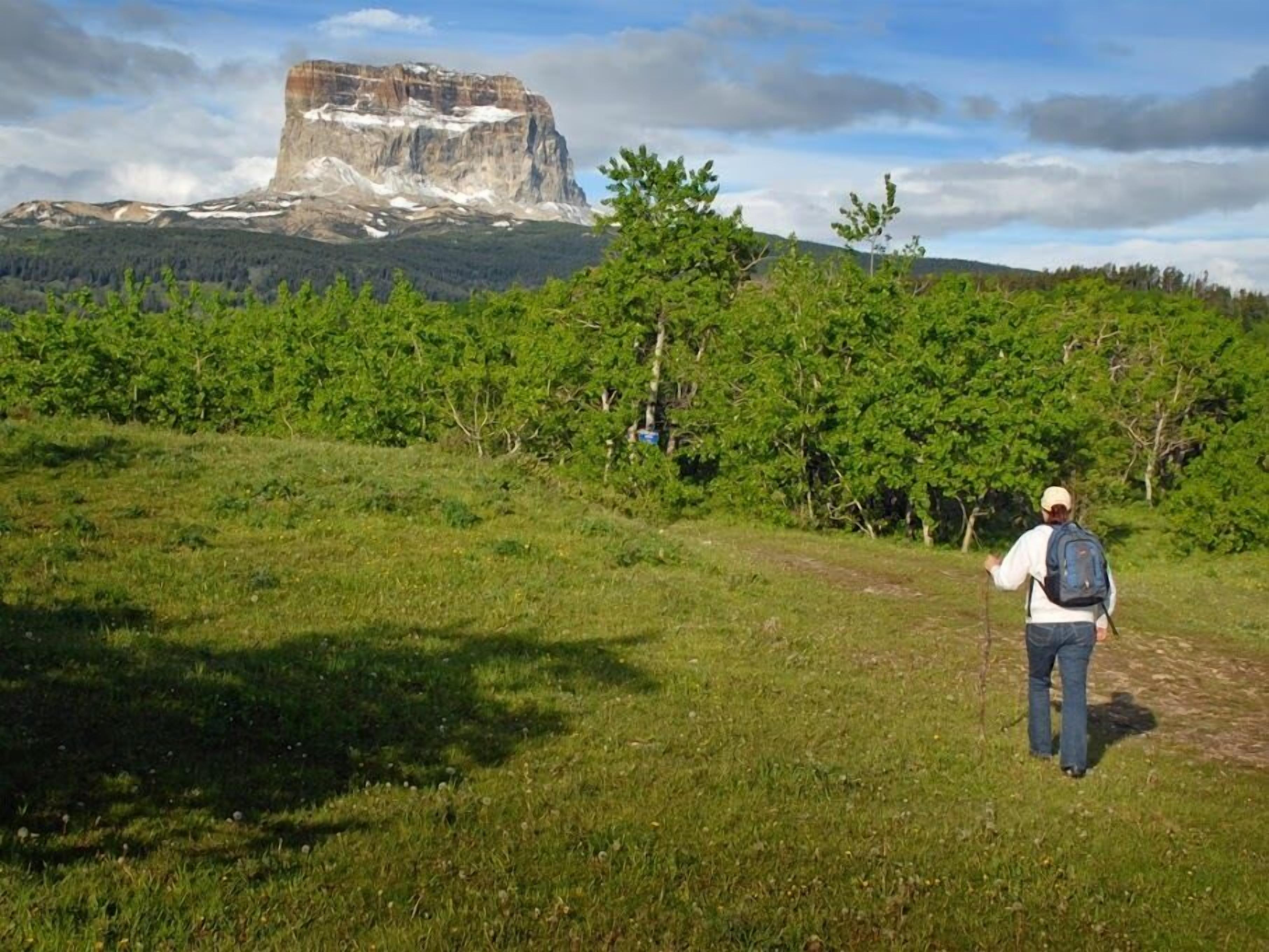 Una persona caminando por un sendero cubierto de hierba, con una montaña al fondo.