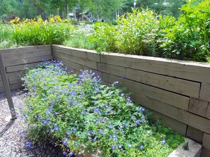A garden with a wooden planter bed filled with blue flowers and green foliage. - Aspen Mountain Views, Bright Corner 2BR, Pool, Hot Tub, 7-Min Walk to Gondola (Aspen)