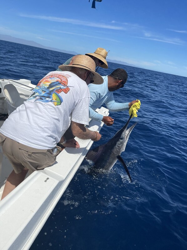 A boat with two people handling a large fish.