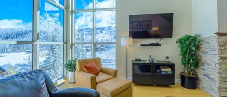 Fireplace, DVD player