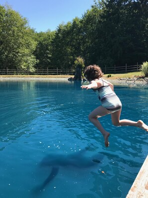 Pool - Come Relax at Mountain Springs Cabin (Mt Vernon)
