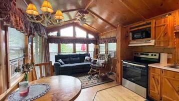 TV, fireplace, DVD player, books