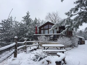 Exterior - Rustic Mountain Retreat – Breathtaking Views, Private Hot Tub & Grill. (Newport)