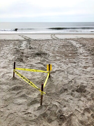 Private Oceanfront, Pet Friendly, One Bedroom