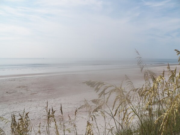 A beach with sand and sparse vegetation. - Private Oceanfront, Pet Friendly, One Bedroom (Fernandina Beach)