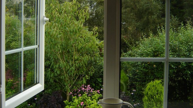 A window with a view of a church steeple and lush greenery.