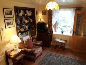 Télévision, lecteur de DVD, livres, vidéothèque