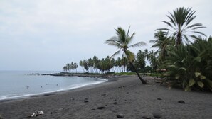 A beach with dark sand, palm trees, and the ocean.