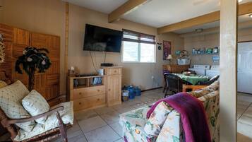 TV, video games, DVD player, ping pong