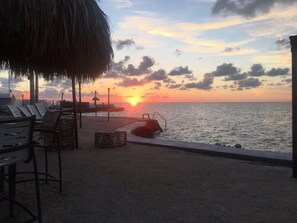 Property grounds - Aug - Dec Open*Manatees*Waterview Balcony*28Nt Min*MM 99.5*Pet Friendly (Key Largo)