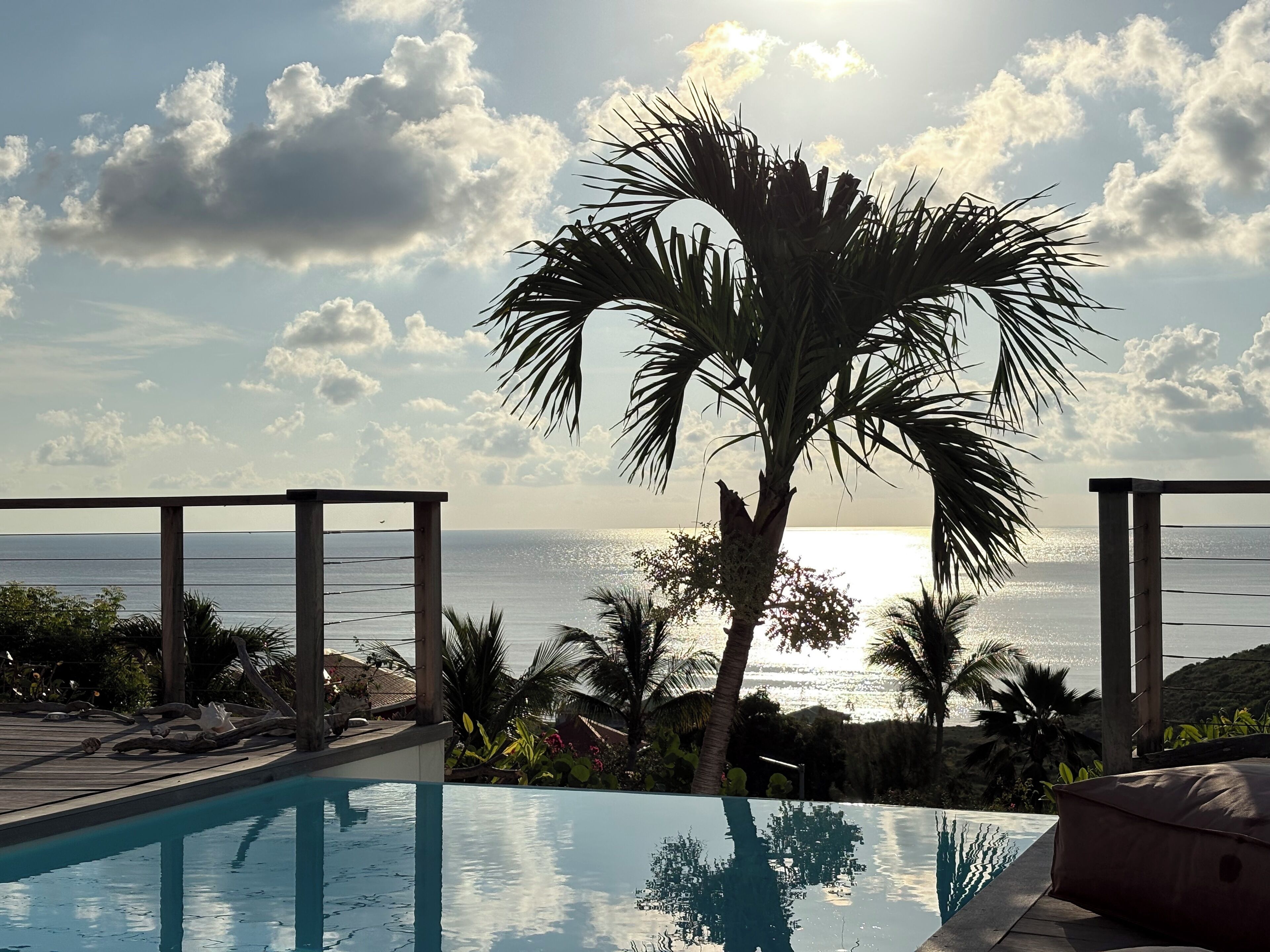Ein Pool mit Blick auf das Meer und eine Palme.