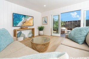 TV connectée, cheminée, lecteur de DVD