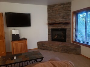 Smart TV, fireplace, DVD player, books