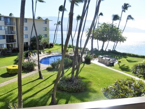 Property grounds - 195-295/night, Oceanfront with 2 Master Suites, Fully Stocked, Amazing View!!! (Wailuku)