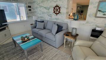 Smart TV, DVD player, books, stereo