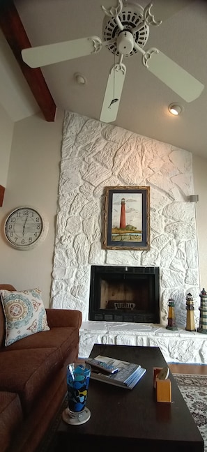 TV, fireplace, DVD player, books