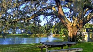 Ein großer Baum mit einer Bank und einem Picknicktisch in einer Parkanlage.