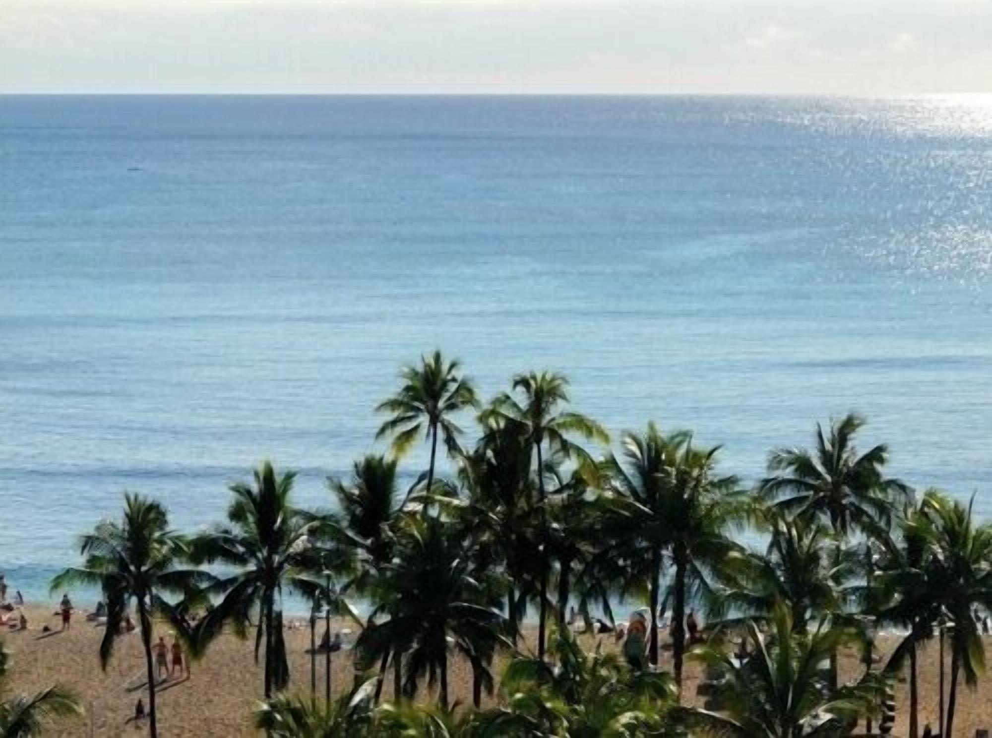 A beach with palm trees and people.