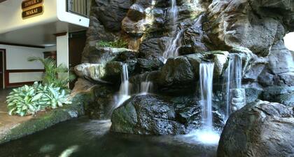 ⛱ Ocean Escape - Your Perfect Spot! Clean, Ocean View, 5 min walk to Beach, Prkg