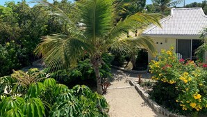 A pathway leading to a house surrounded by lush greenery and flowering plants.