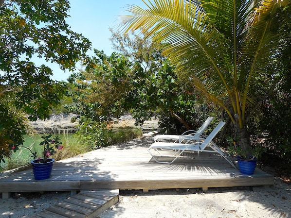 A wooden deck with two white lounge chairs and a palm tree.