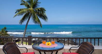 Oceanfront/A/C/Elevator/Surfers- Dolphins + Whales