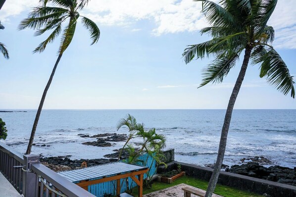 Property grounds - Oceanfront/New A/C/Elevator/Surfers (Kailua-Kona)