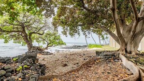 Una playa con un árbol grande y costa rocosa.