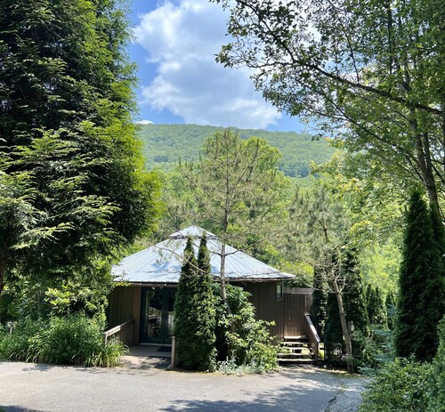 Hot tub, Propane fire pit, Interact with animals, Privacy, 10 miles from AVL.