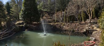 Quaint and peaceful property with wonderful fresh farm eggs! Close to AVL!