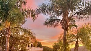 Una lussuosa casa con piscina, circondata da palme e un prato curato.