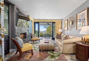 Smart TV, fireplace, DVD player, books