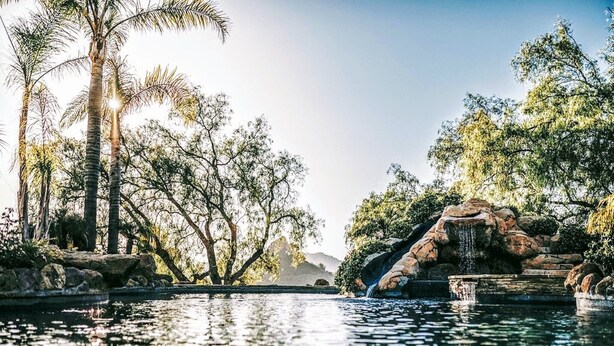 Una zona piscina all'aperto tranquilla con una cascata, circondata da alberi alti e un cielo sereno.