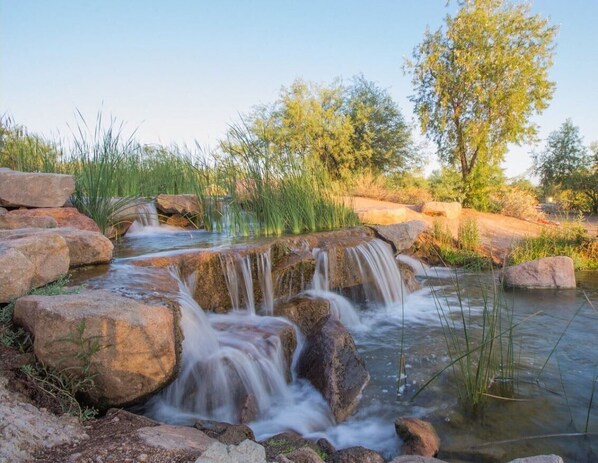 صورة غير مصنفة، 1 من 49، زرّ