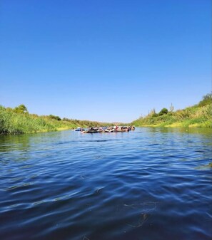 صورة غير مصنفة، 5 من 49، زرّ