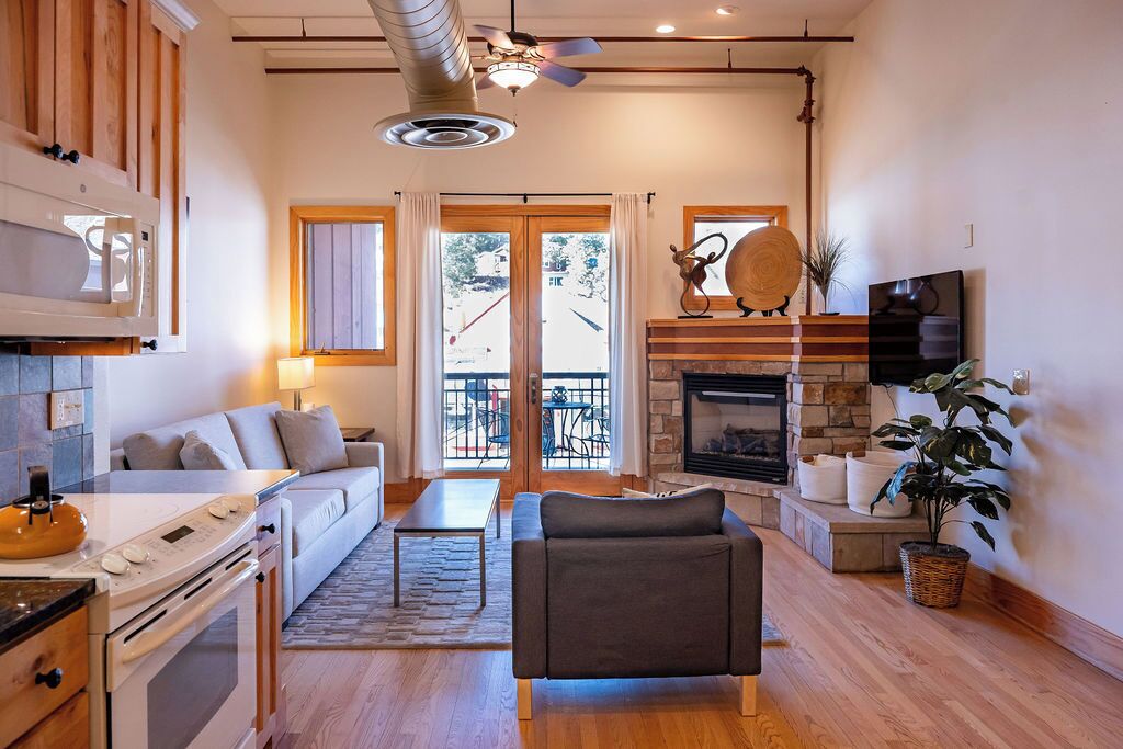 Smart TV, fireplace, DVD player, books