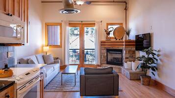 Smart TV, fireplace, DVD player, books