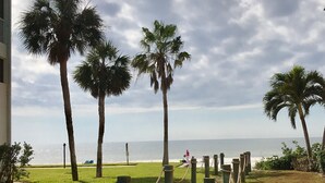 Zona verde con palmeras y vista al océano.
