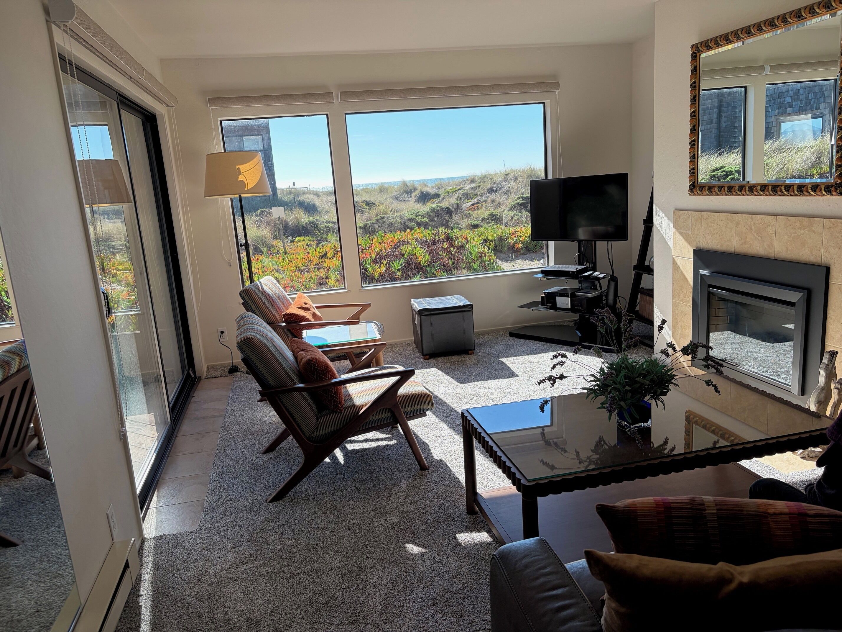 Smart TV, fireplace, DVD player, books