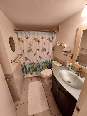 Ensemble baignoire-douche, séchoir à cheveux, serviettes fournies, savon